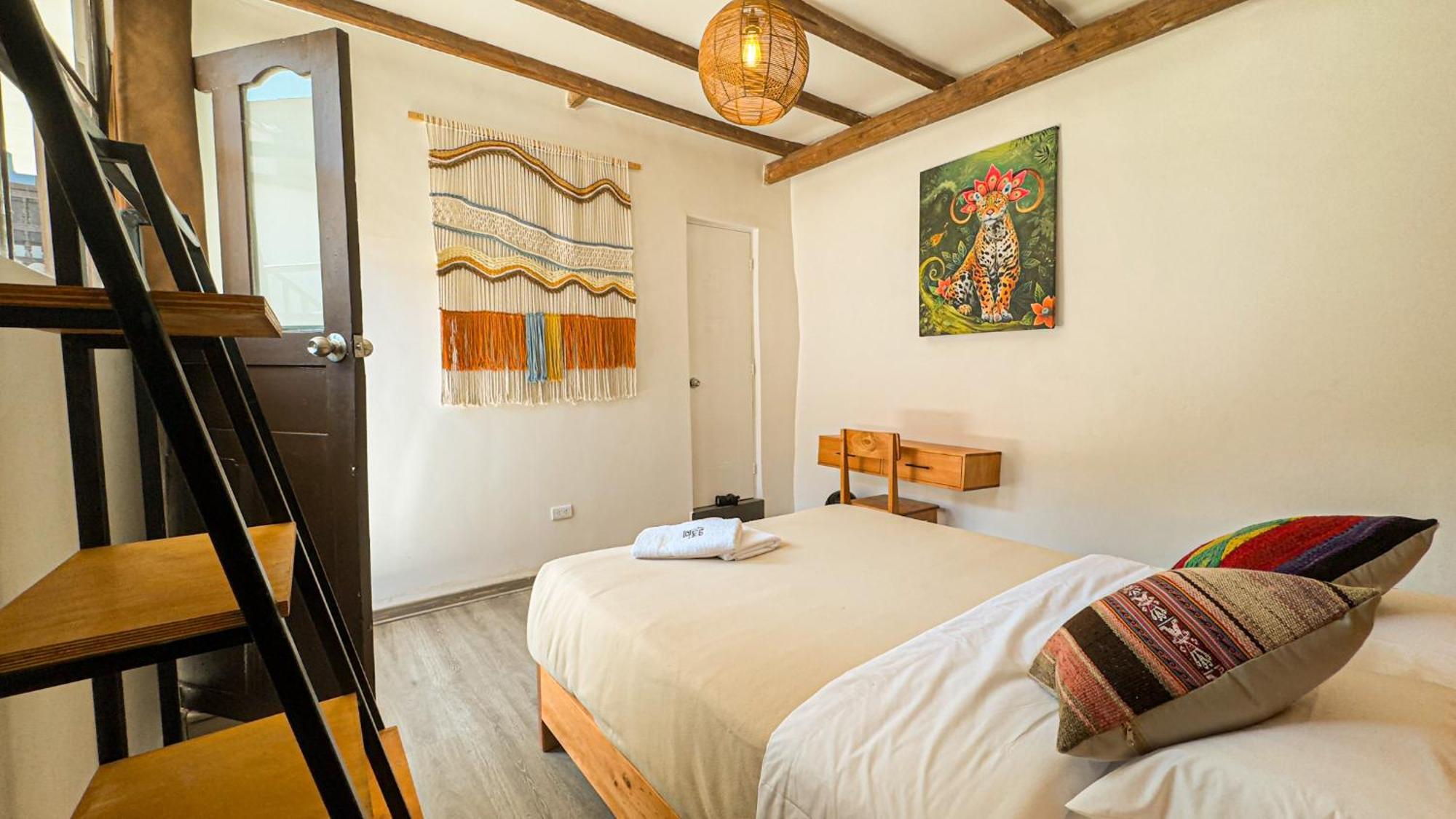 Black Llama Hostel 库斯科 外观 照片