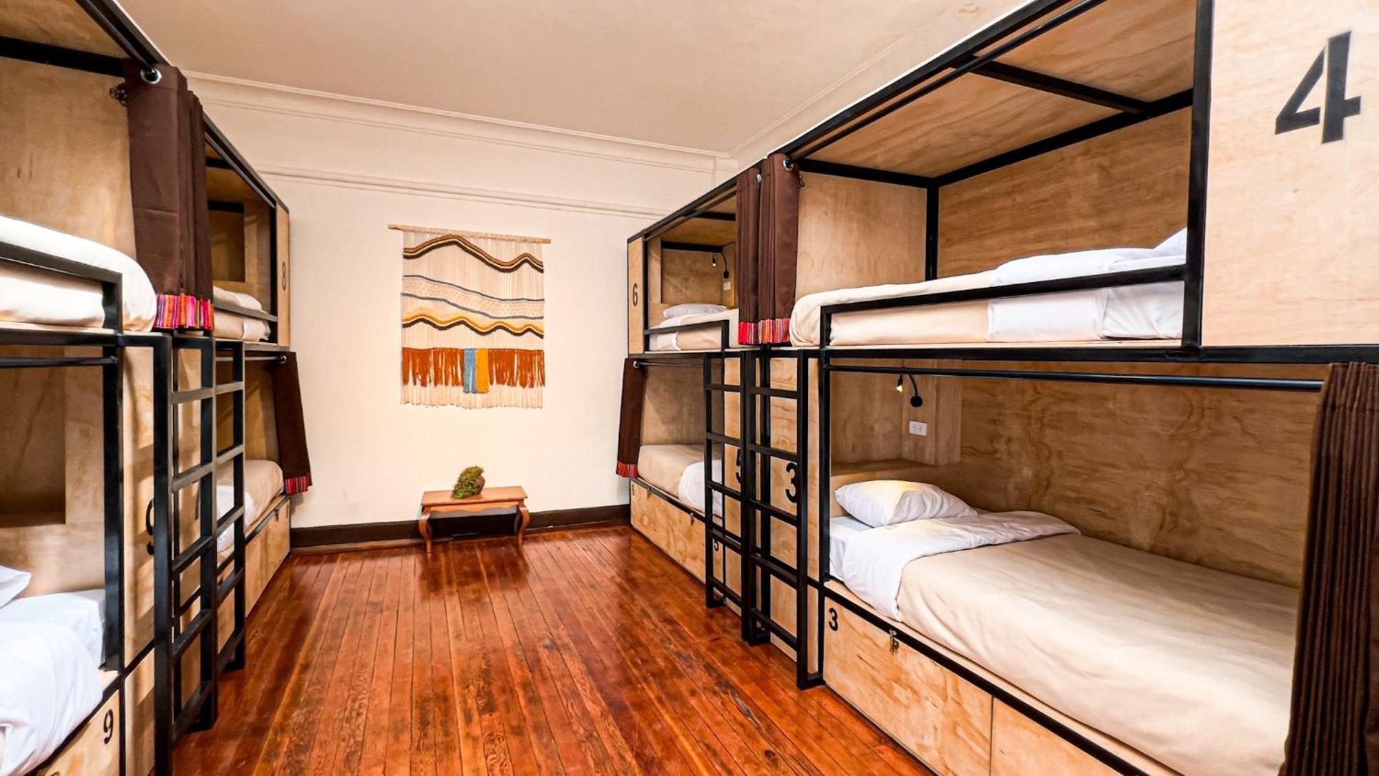 Black Llama Hostel 库斯科 外观 照片